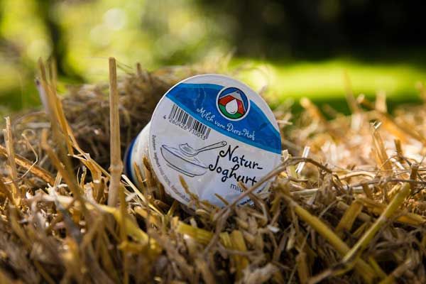 Diers Joghurt Natur 3,8% - 250g - zum Frühstück